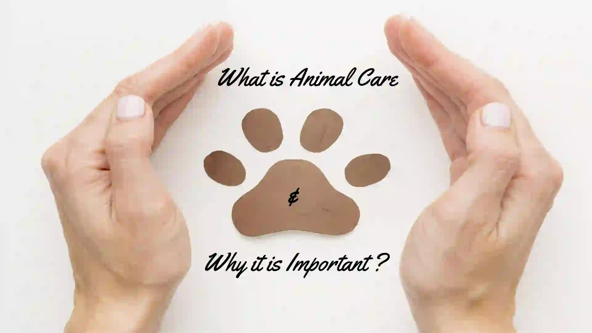 What is animal care and why is it important? This Post Design By The Revolution Deshbhakt Hindustani